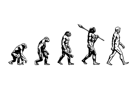 人類演化 - 我們是否由猴子及類人猿演變而來